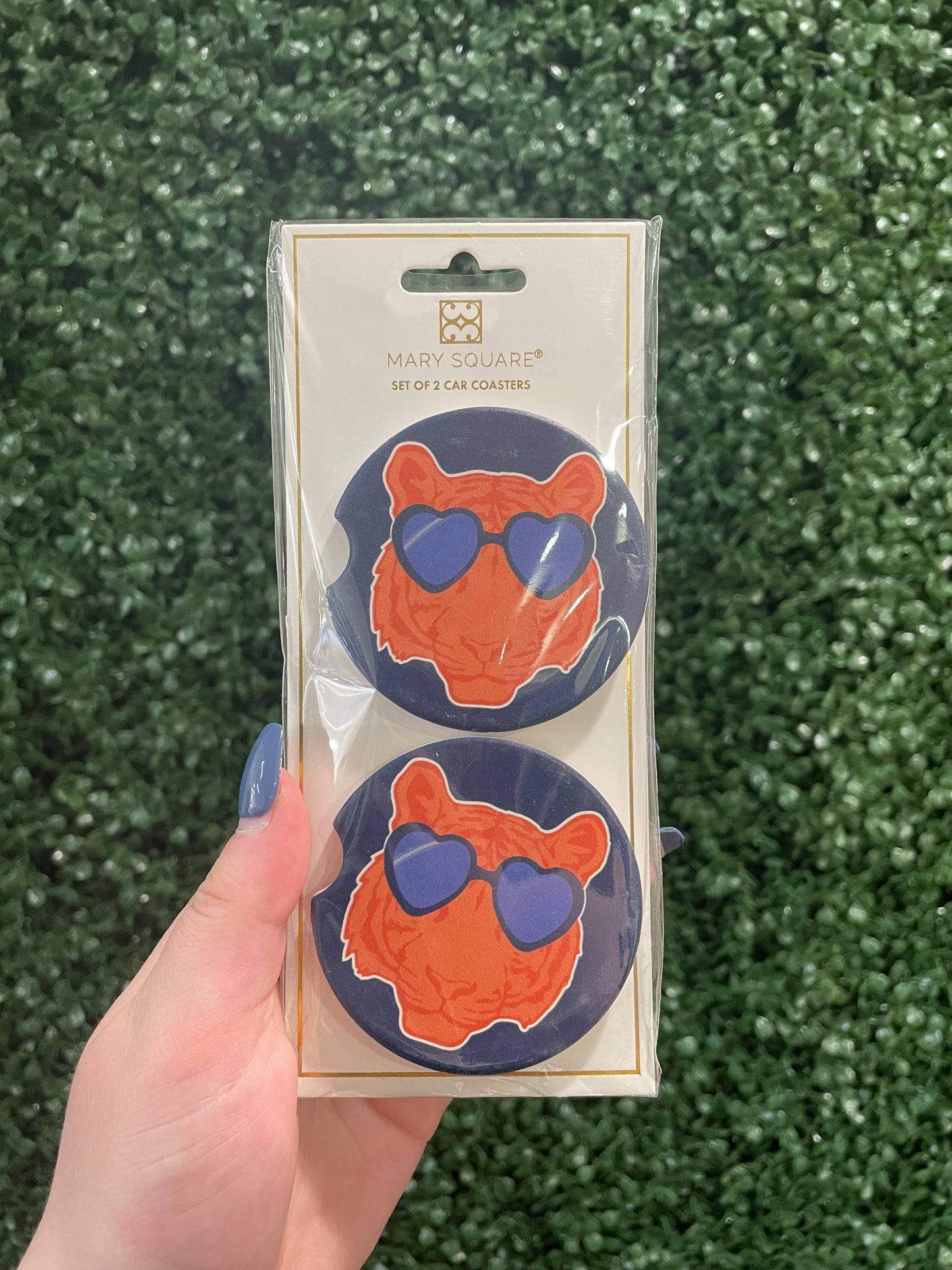 Car Coasters, Wildcat Blue