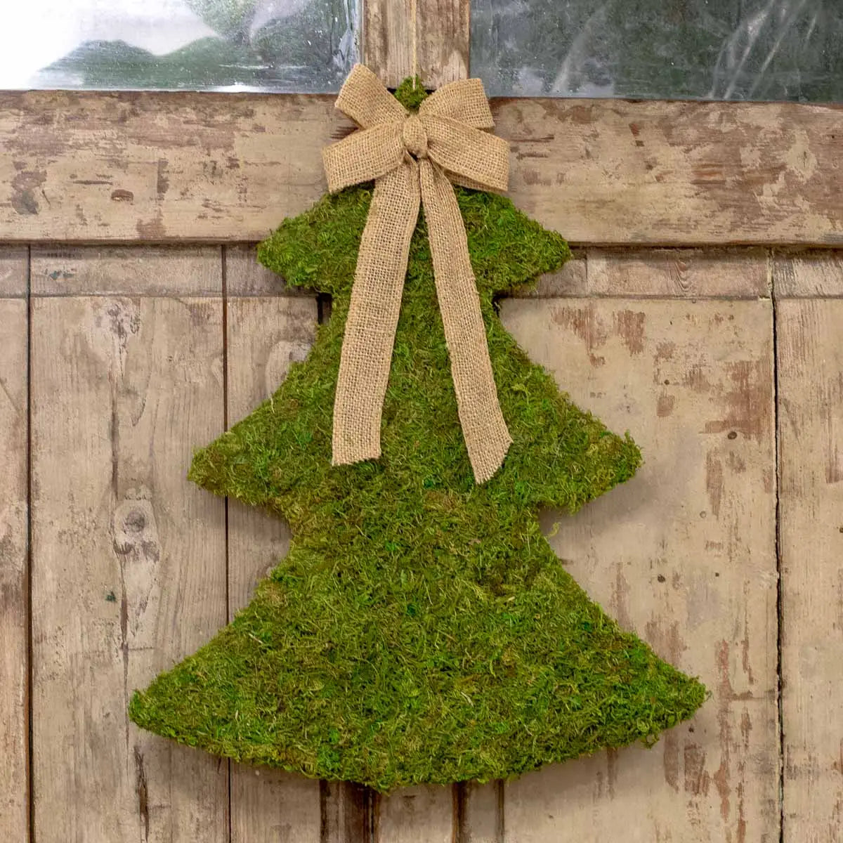 Hanging Moss Tree