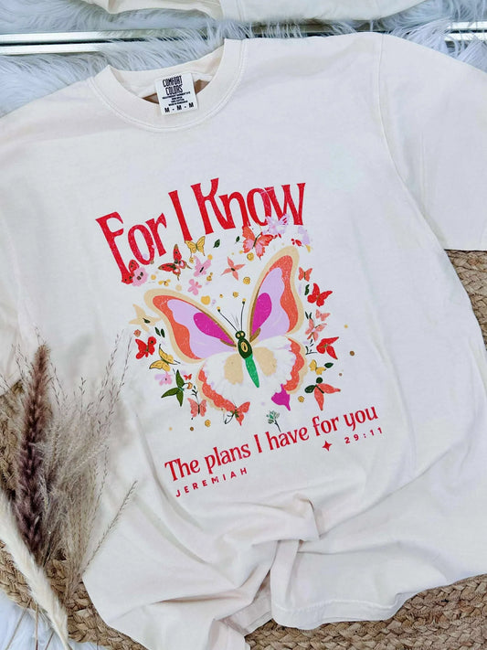 Jeremiah 29:11 Tee