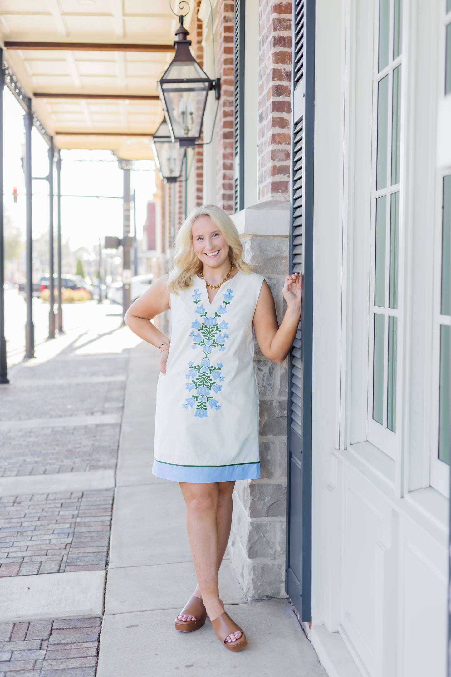 Southern Hospitality Dress